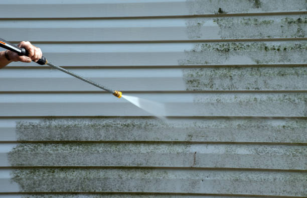 Best Sidewalk and Walkway Cleaning  in Watauga, TX